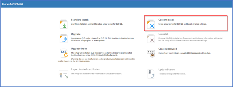 ELO Server Setup, bouton 'Custom install'