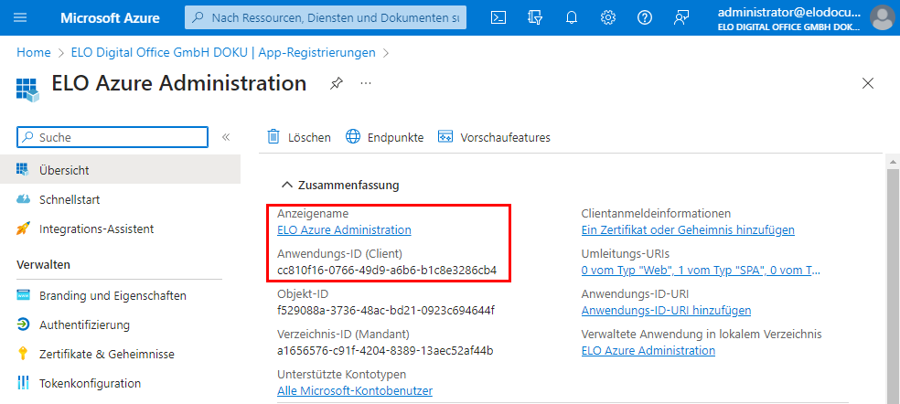 Azure App-Übersicht, markiert sind die Felder 'Anzeigename' und 'Anwendungs-ID (Client)'