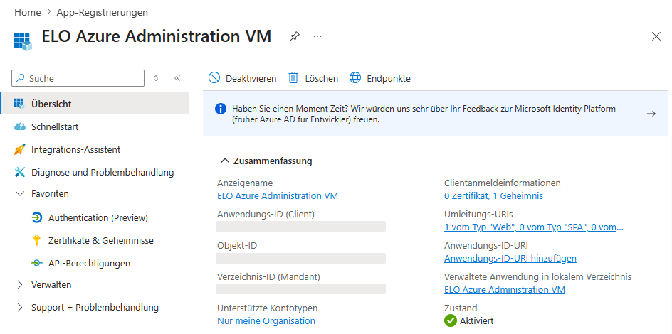 Azure App-Übersicht, markiert sind die Felder 'Anzeigename' und 'Anwendungs-ID (Client)'