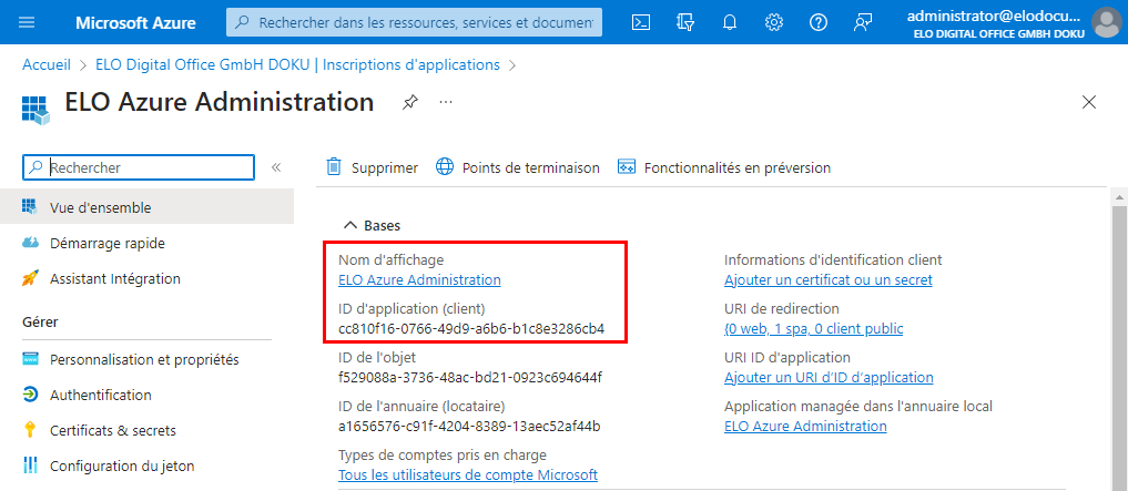 Aperçu de Azure App, les champs 'Nom d'affichage' et 'ID d'application (client)' sont marqués