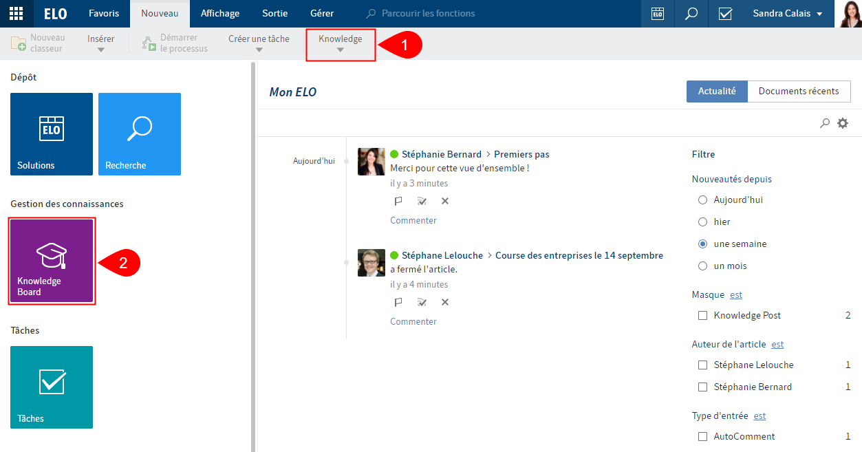 ELO Web Client mit ELO Knowledge