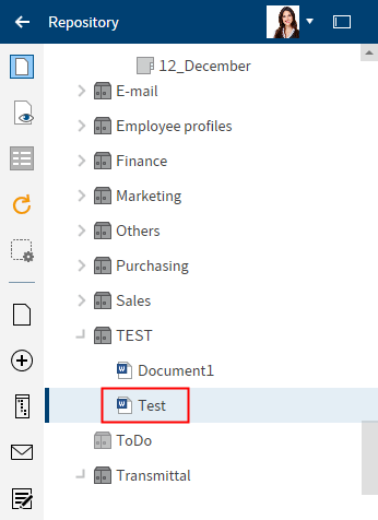 Selected document in the repository