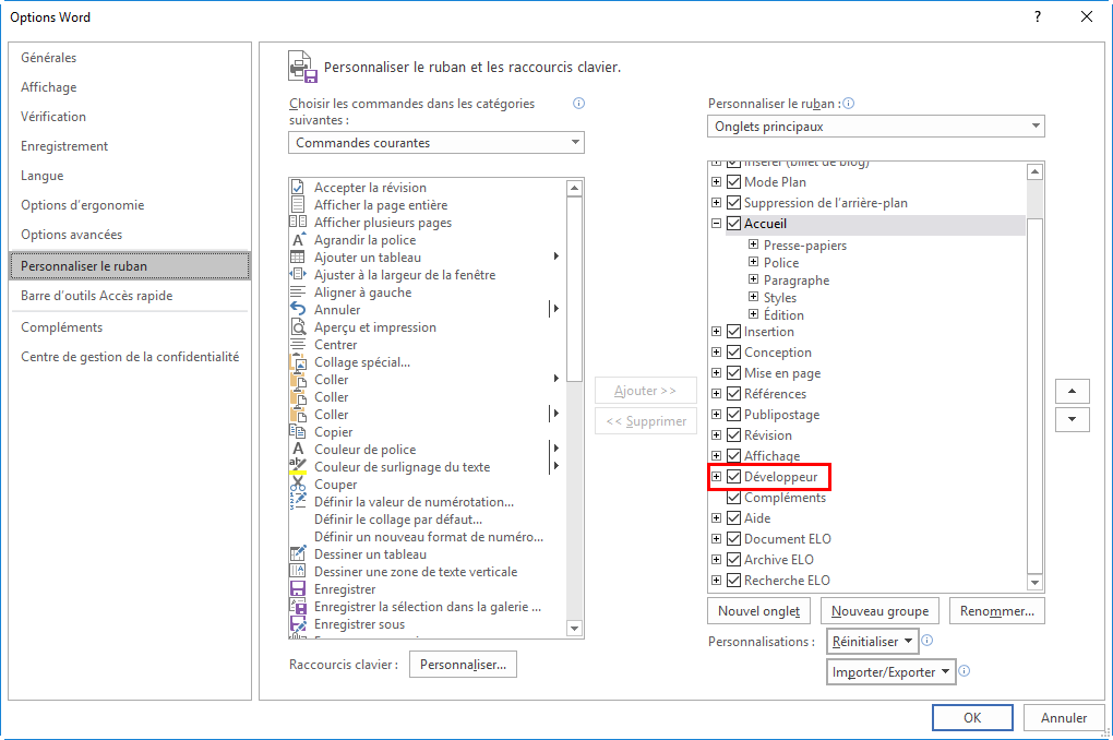 Microsoft Word; Dialogue 'Option Word': Activer les outils développeur
