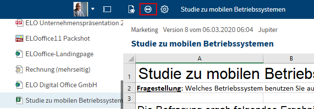 Vorschau; Verlinkungssymbol in der Kopfleiste