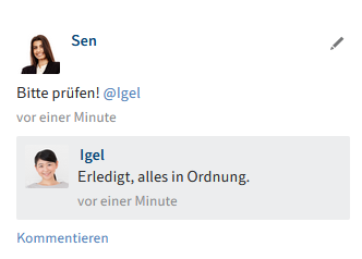 Feed-Beitrag mit Kommentar