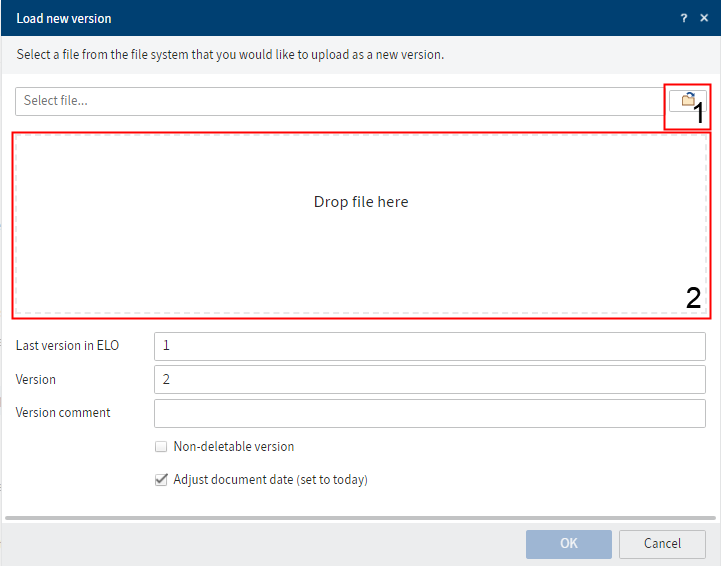 'Load new version' dialog box
