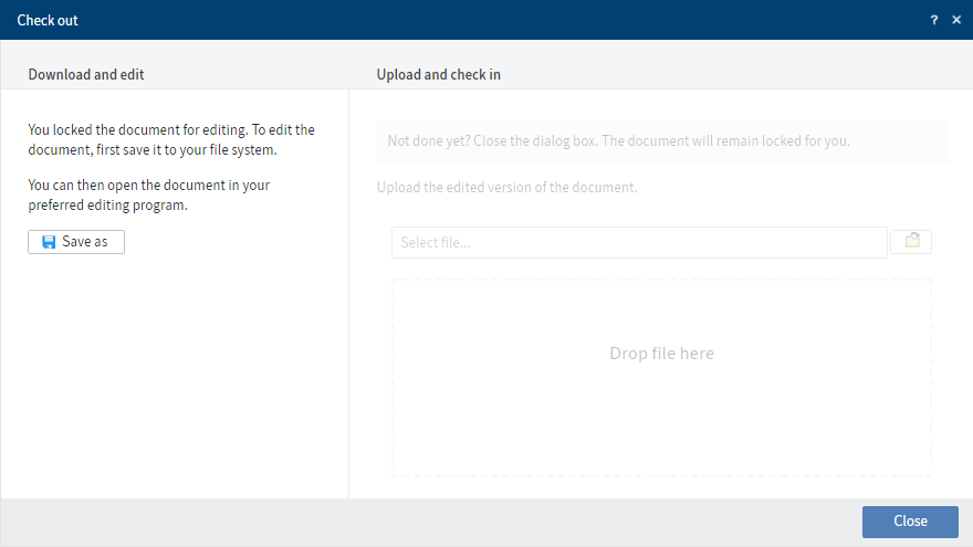 'Check out' dialog box