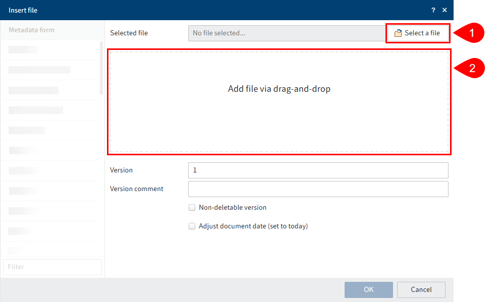 'Insert file' dialog box