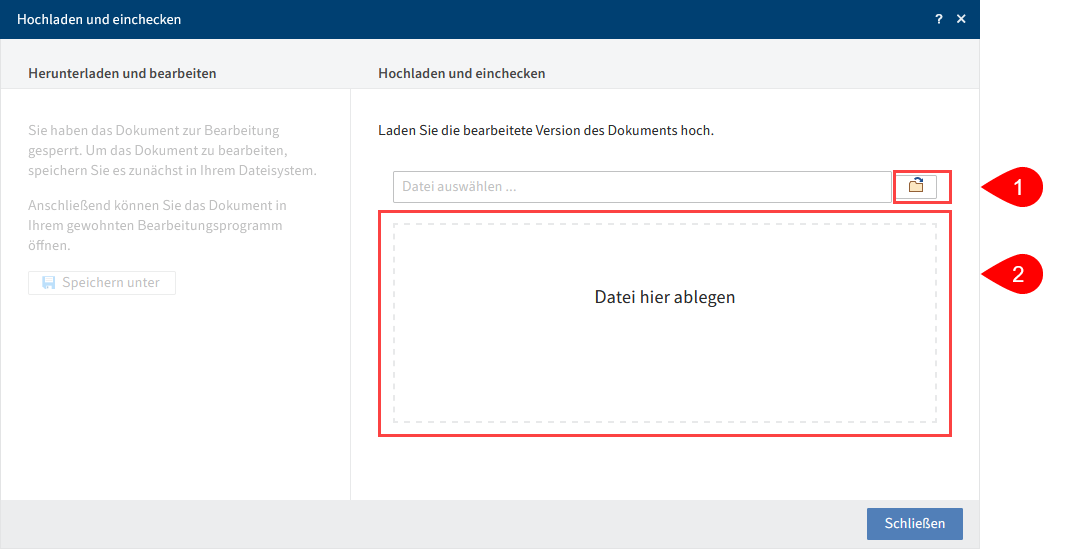 Dialog 'Hochladen und einchecken'